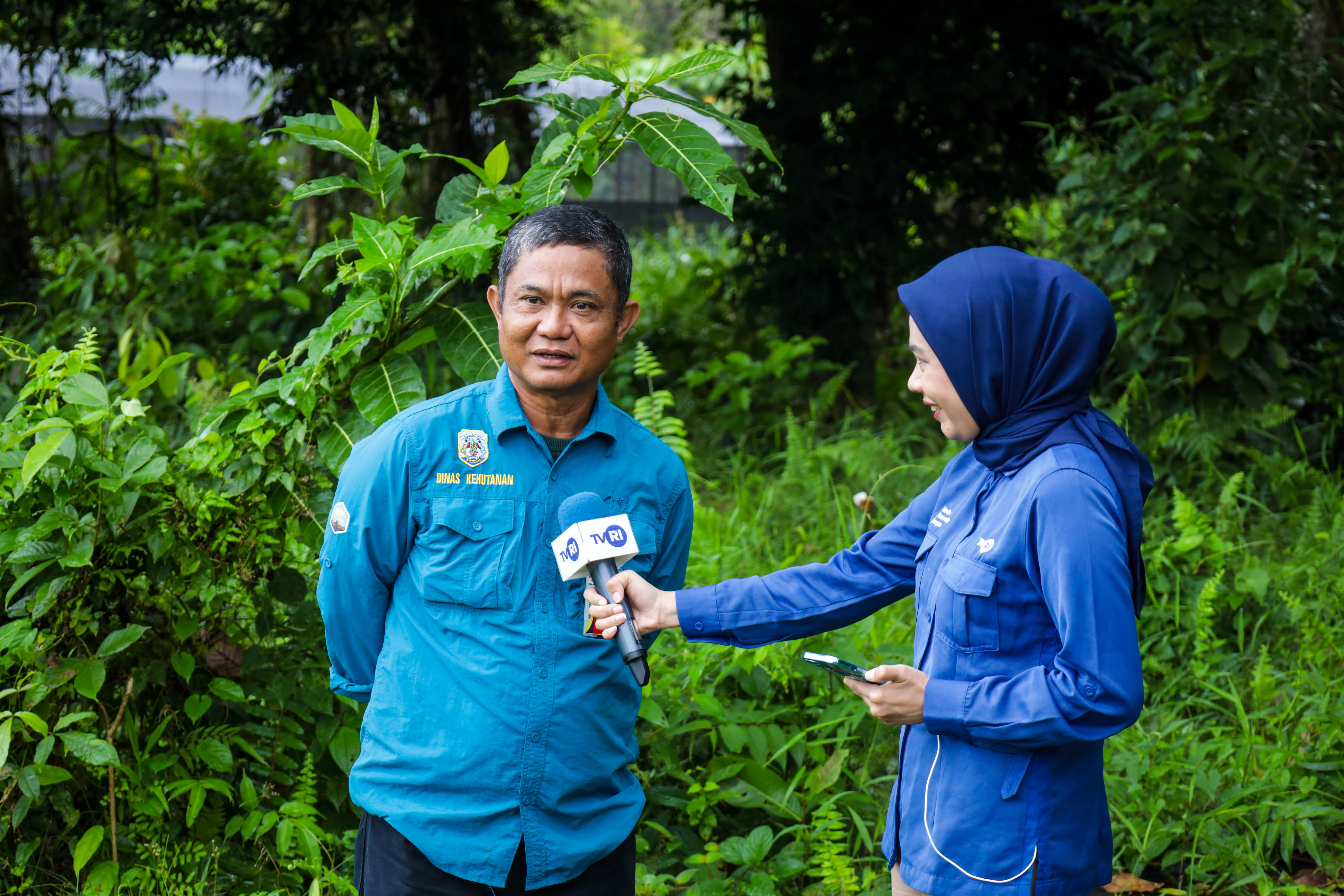 70 PERSEN TUTUPAN LAHAN KALTARA BERUPA KAWASAN HUTAN, SYARIFUDDIN : INI POTENSI UNTUK FOREST HEALING